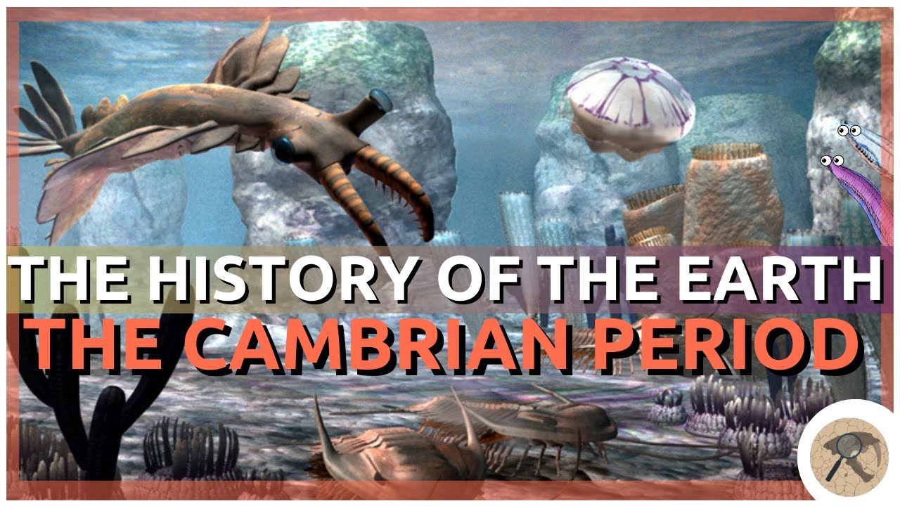 The Complete History of the Earth: Cambrian Period