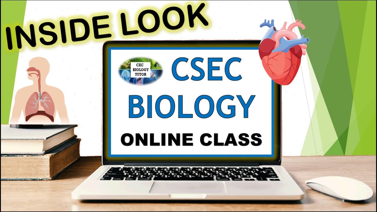 CSEC Biology Online Class| Respiration & Circulatory System| CXC Biology Tutor