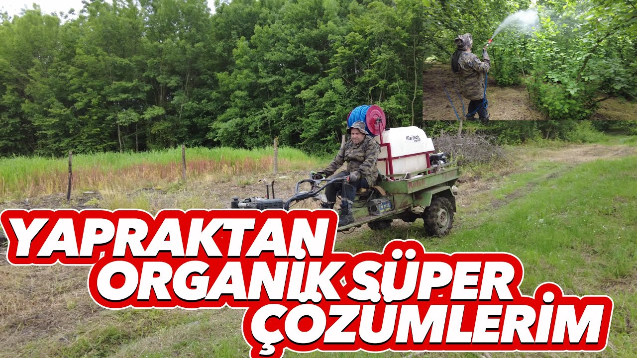 YAPRAKTANUYGULAMALARA BAŞLADIK | FINDIK KURDU | SOLUCAN GÜBRESİ | SUPER YEŞİL