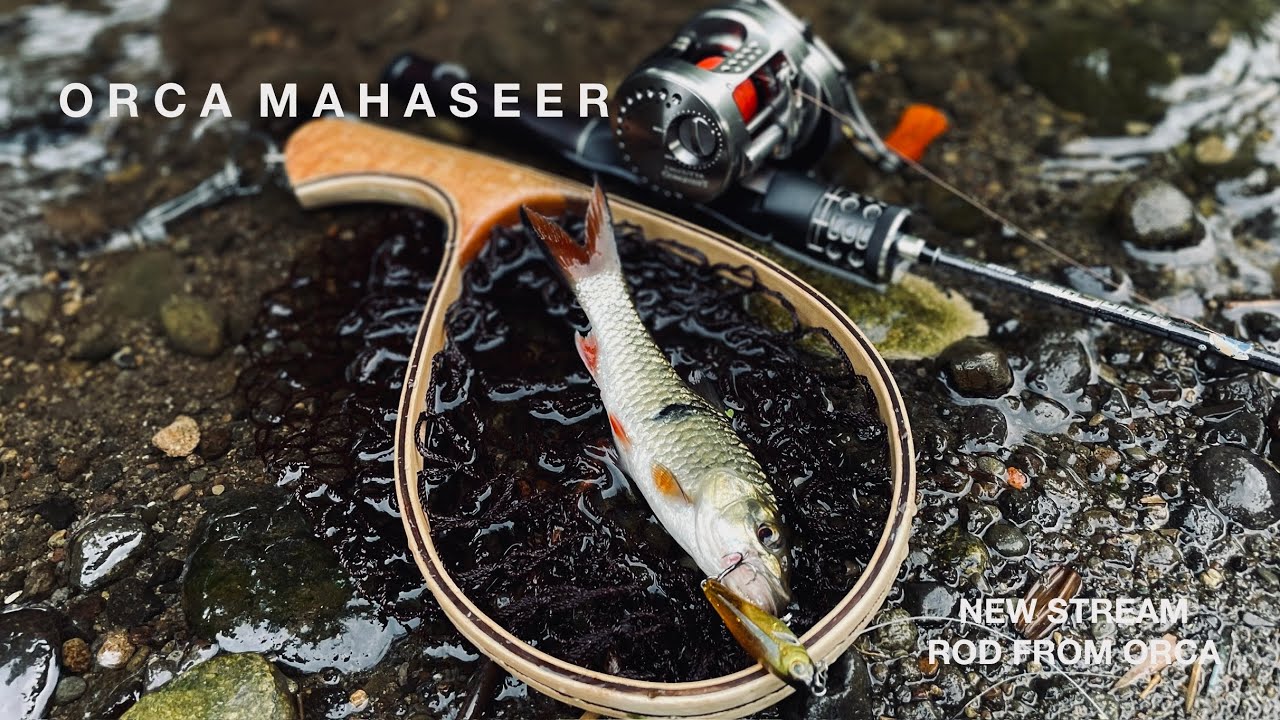 NEW STREAM ROD BY ORCA 🔥 | Casting Hampala Yogyakarta