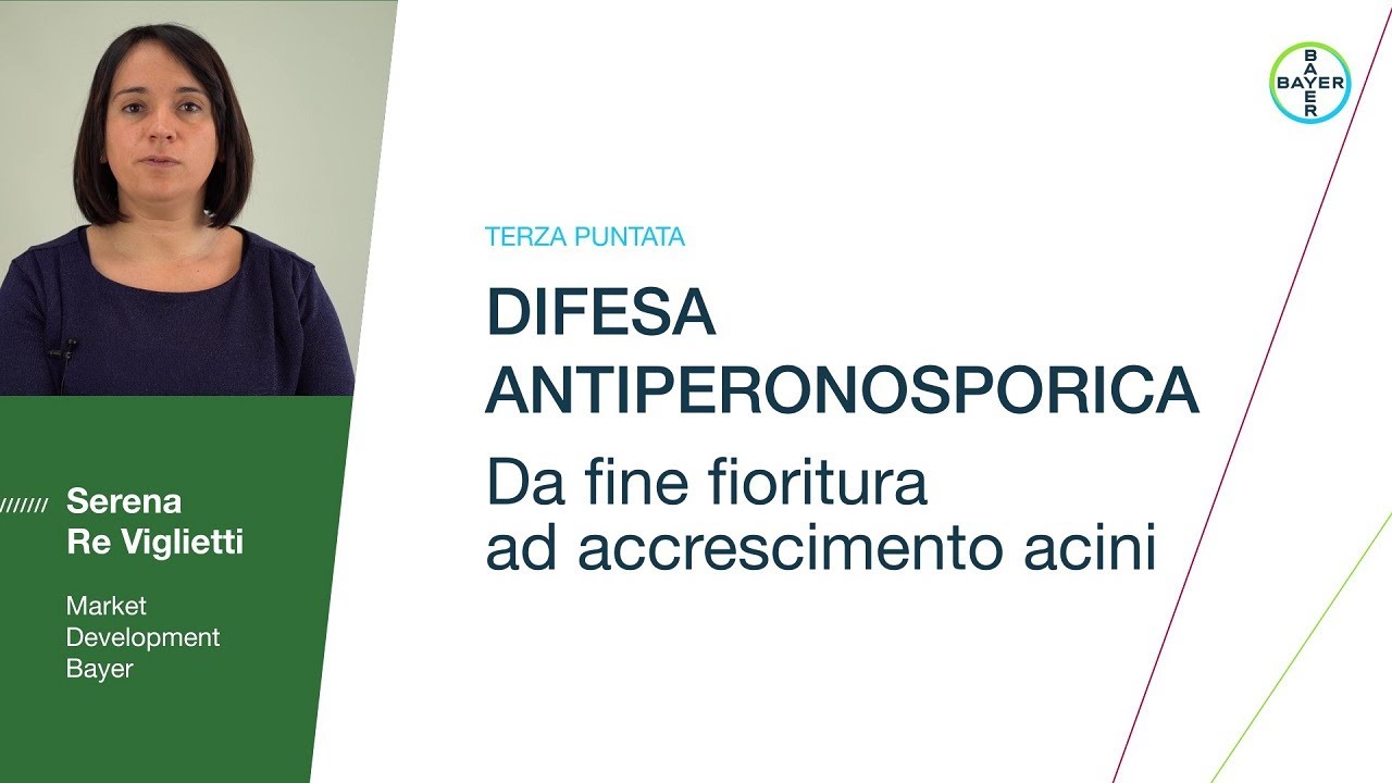 Difesa Antiperonosporica - Da fine fioritura ad accrescimento acini