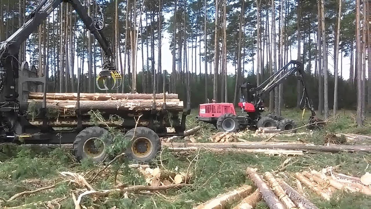 Ponsse w akcji. Zrywka drewna😁