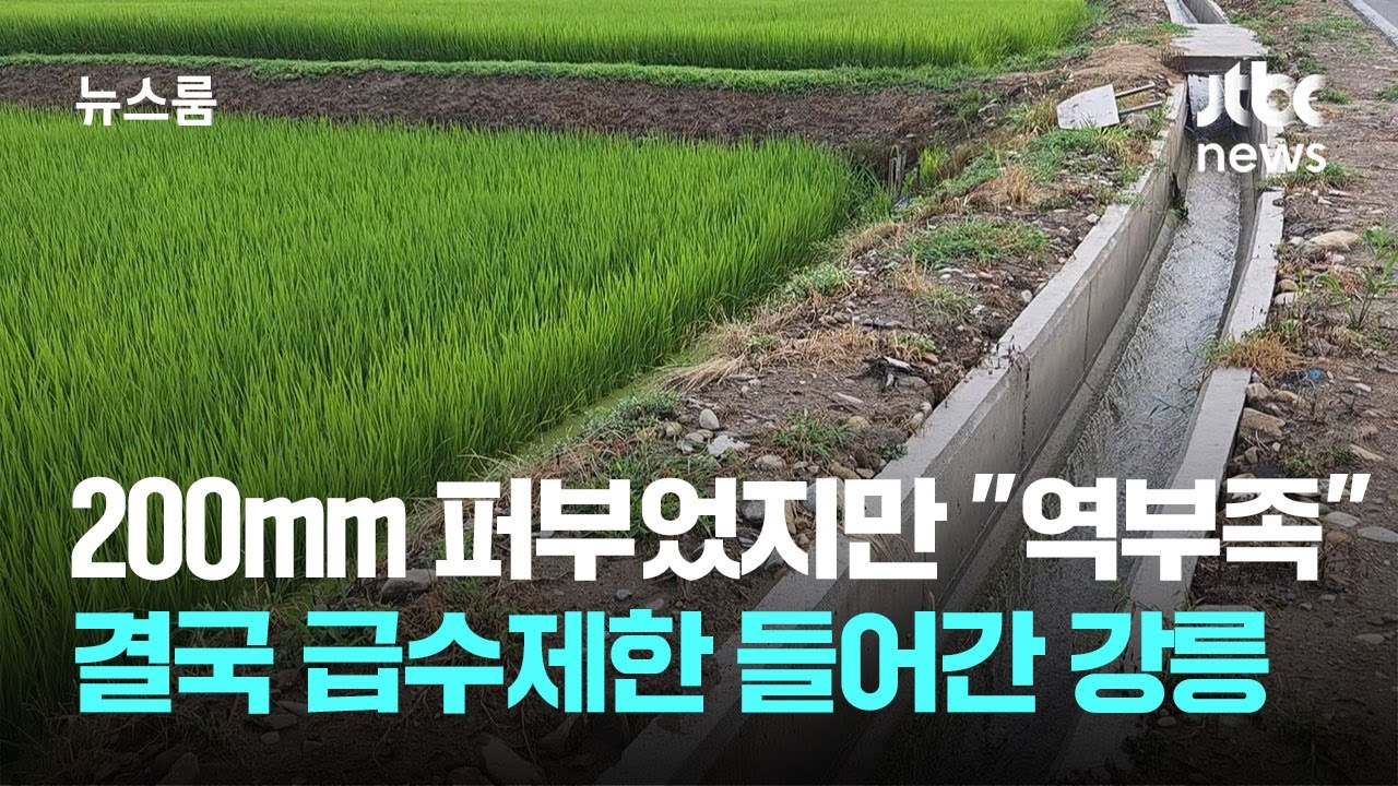 200㎜ 퍼부었지만 