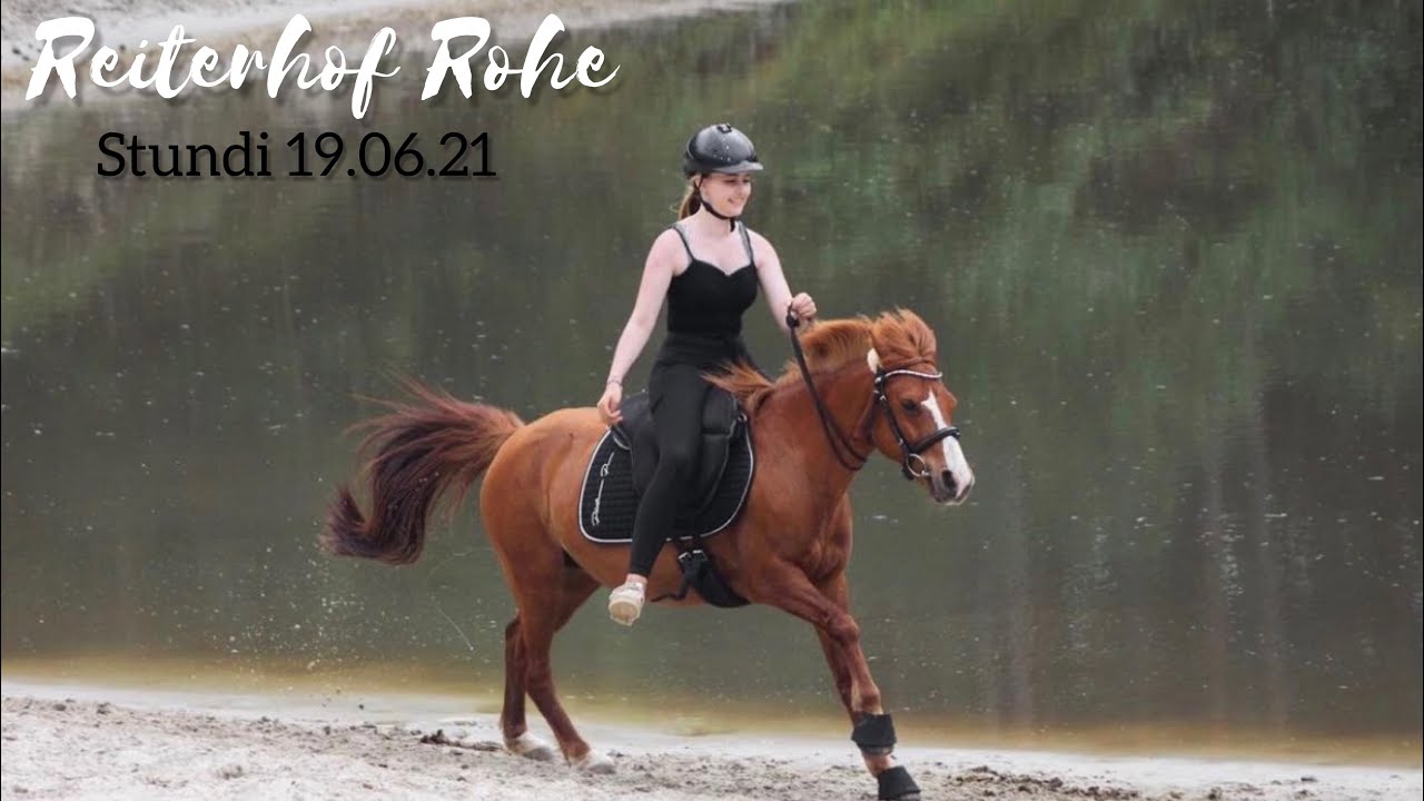 Reiterhof Rohe - Stundenreiter 19.06.2021 🦆🐻♥️