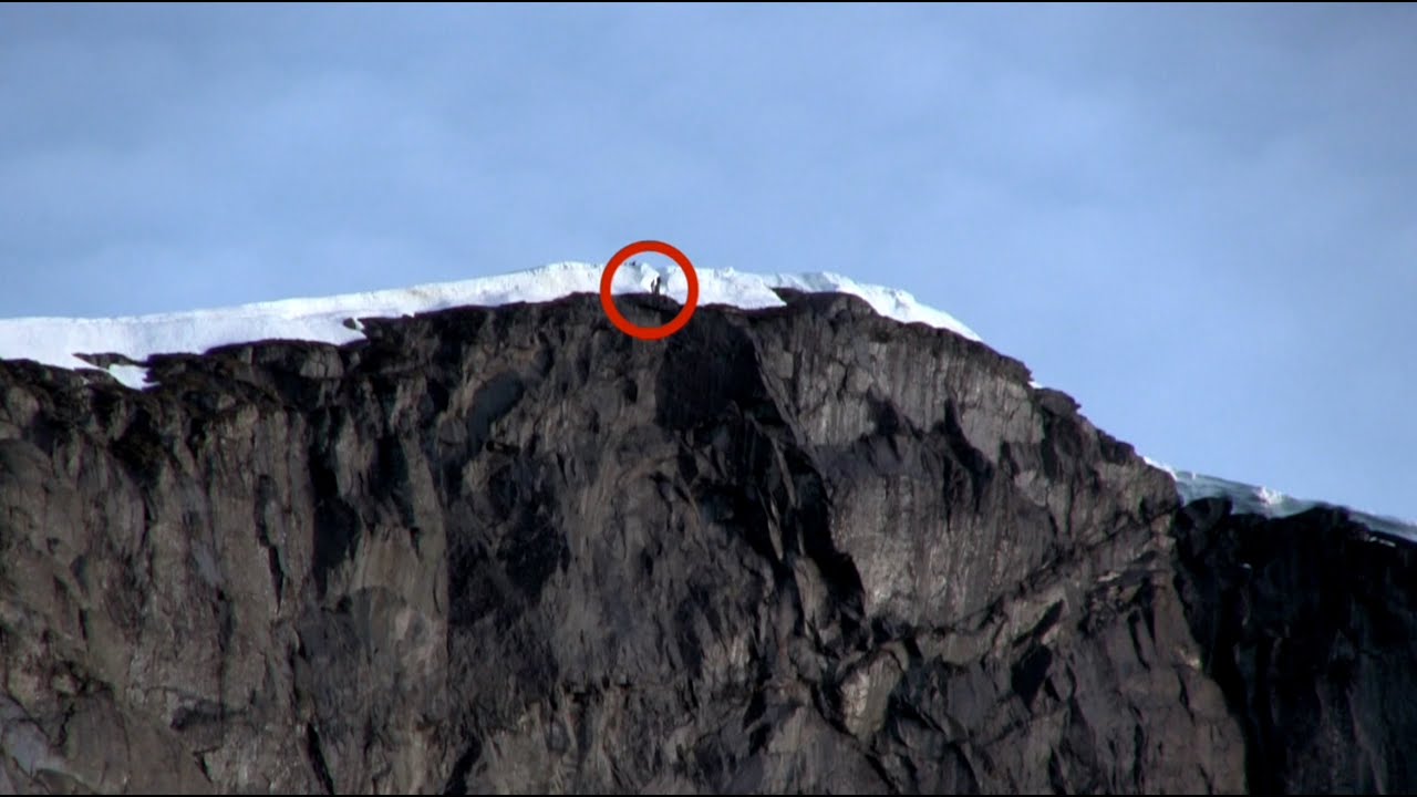 Wingsuit Flight - Norway | Heliboogie 2015 (Apex BASE)