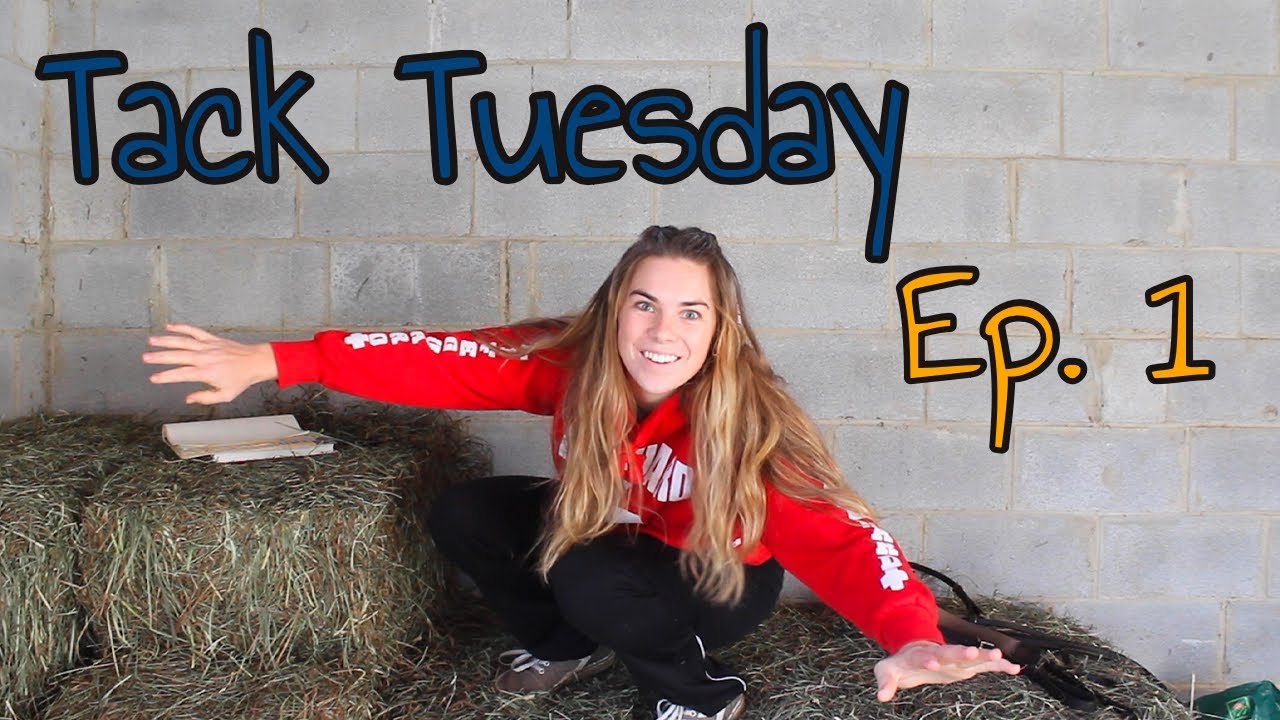 everything WRONG with 5 point breastplates || TACK TUESDAY ep.1