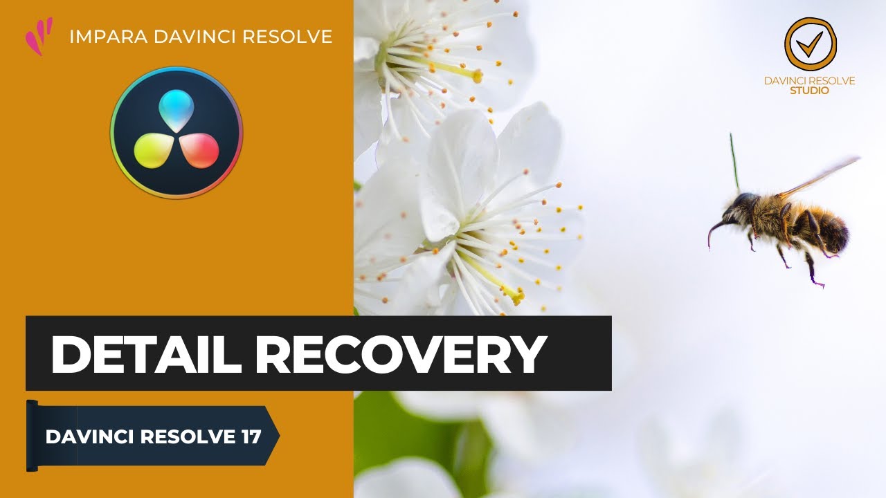 Detail Recovery | Color | Davinci Resolve ITA