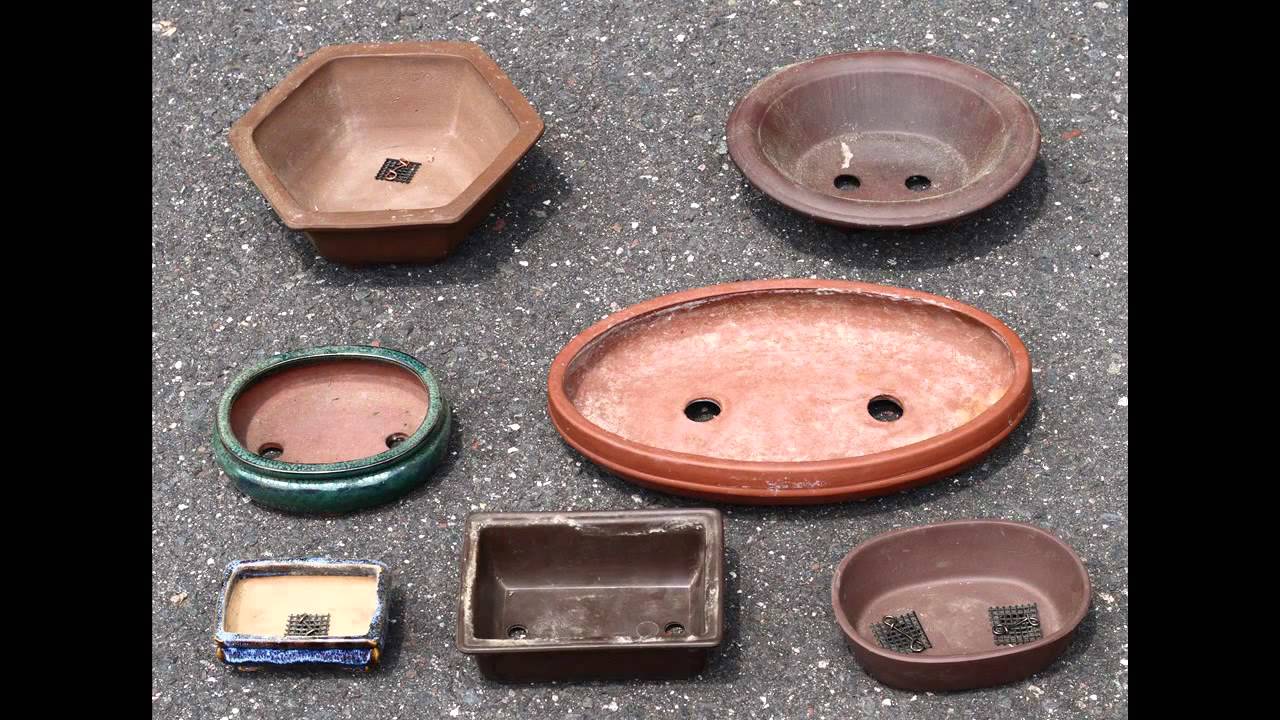 discount bonsai pots