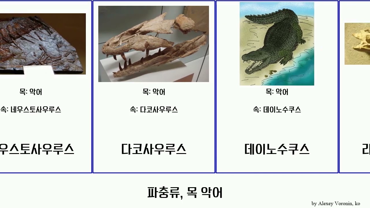 파충류, 목 악어 reptilia Fuse 다코사우루스 Target 아그기오사우루스 가비알과 네우스토사우루스 그리포수쿠스 말레이가비알 푸라니사우루스 French 텔레도사사우루스