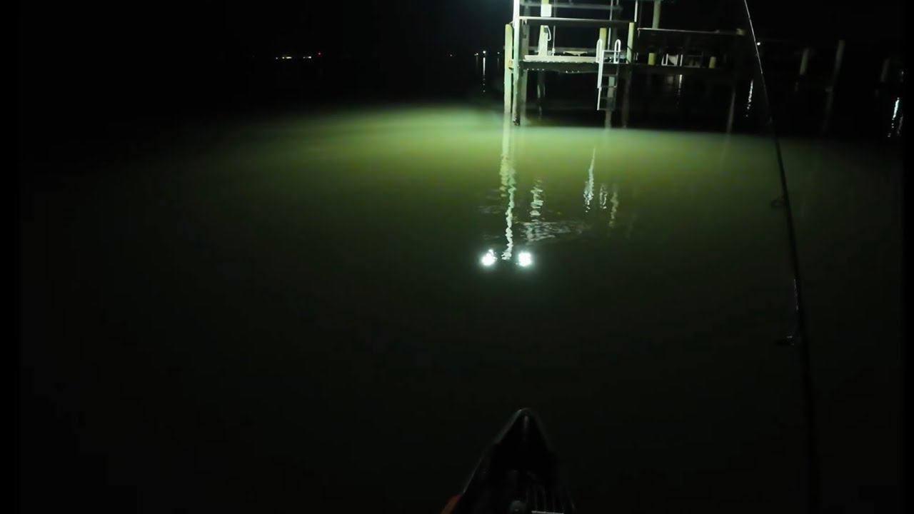 This Is Why You Fish Dock Lights! Kayak Fishing at Night