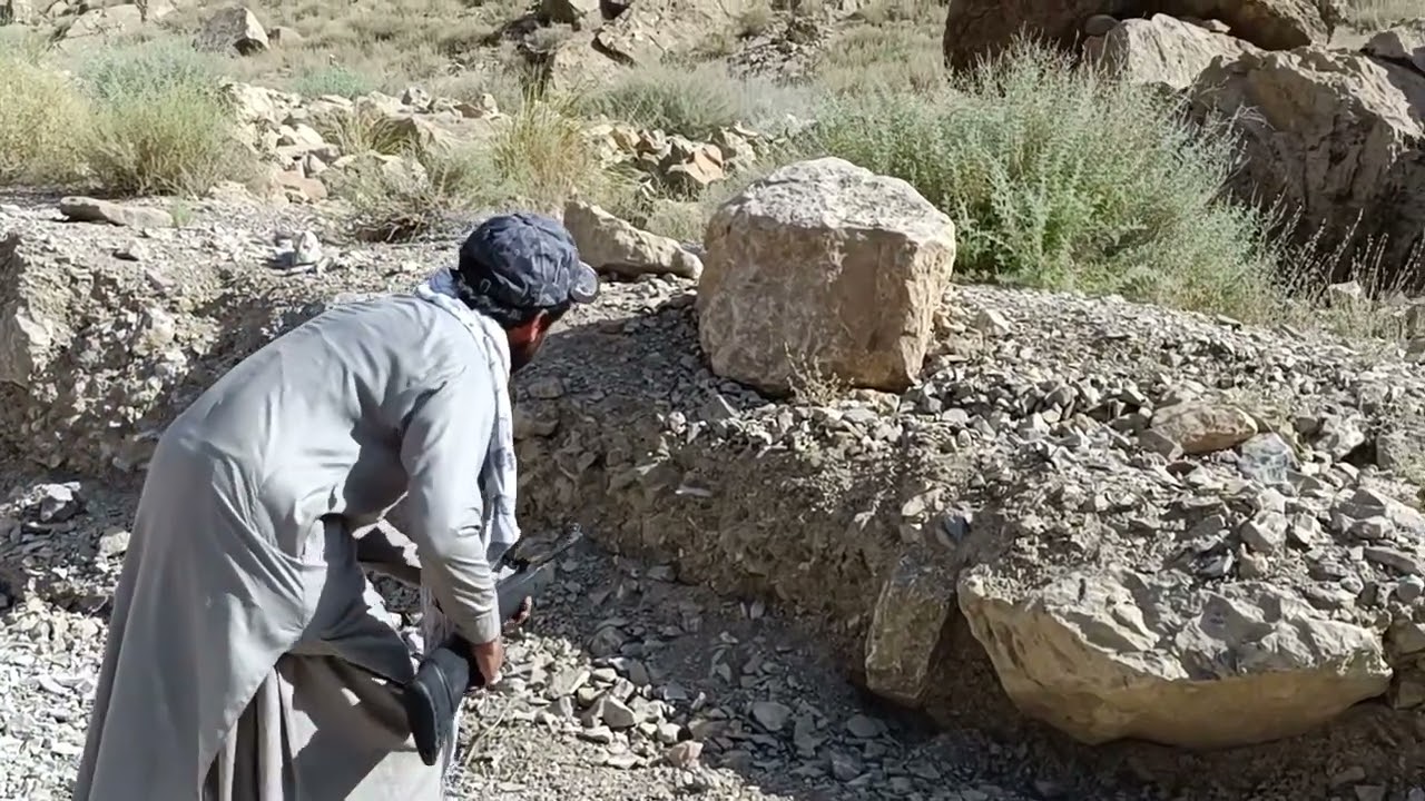 Hunting a Mountain Lizard with Gamo Shadow 1000 Air Rifle
