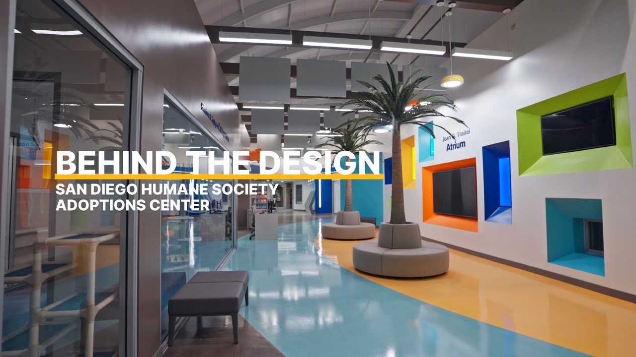 COAR Design Group | Behind the Design: San Diego Humane Society Adoptions Center