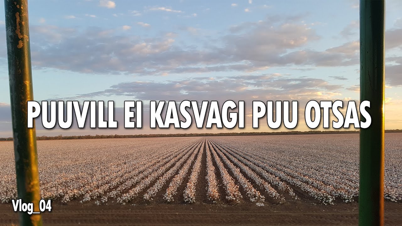 Elu puuvillapõldude vahel
