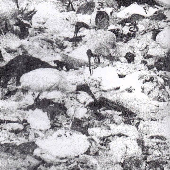 Flesh Police - Demo [2013]