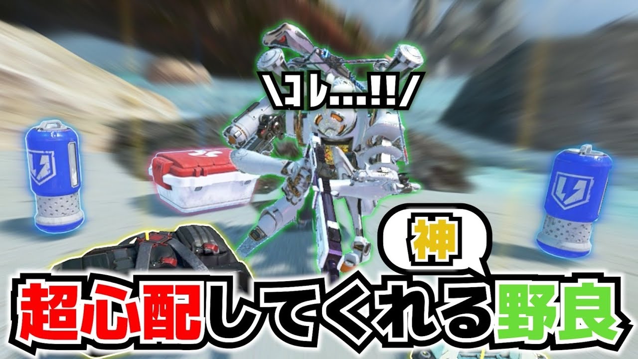 味方想いLv100の可愛い野良【APEX】