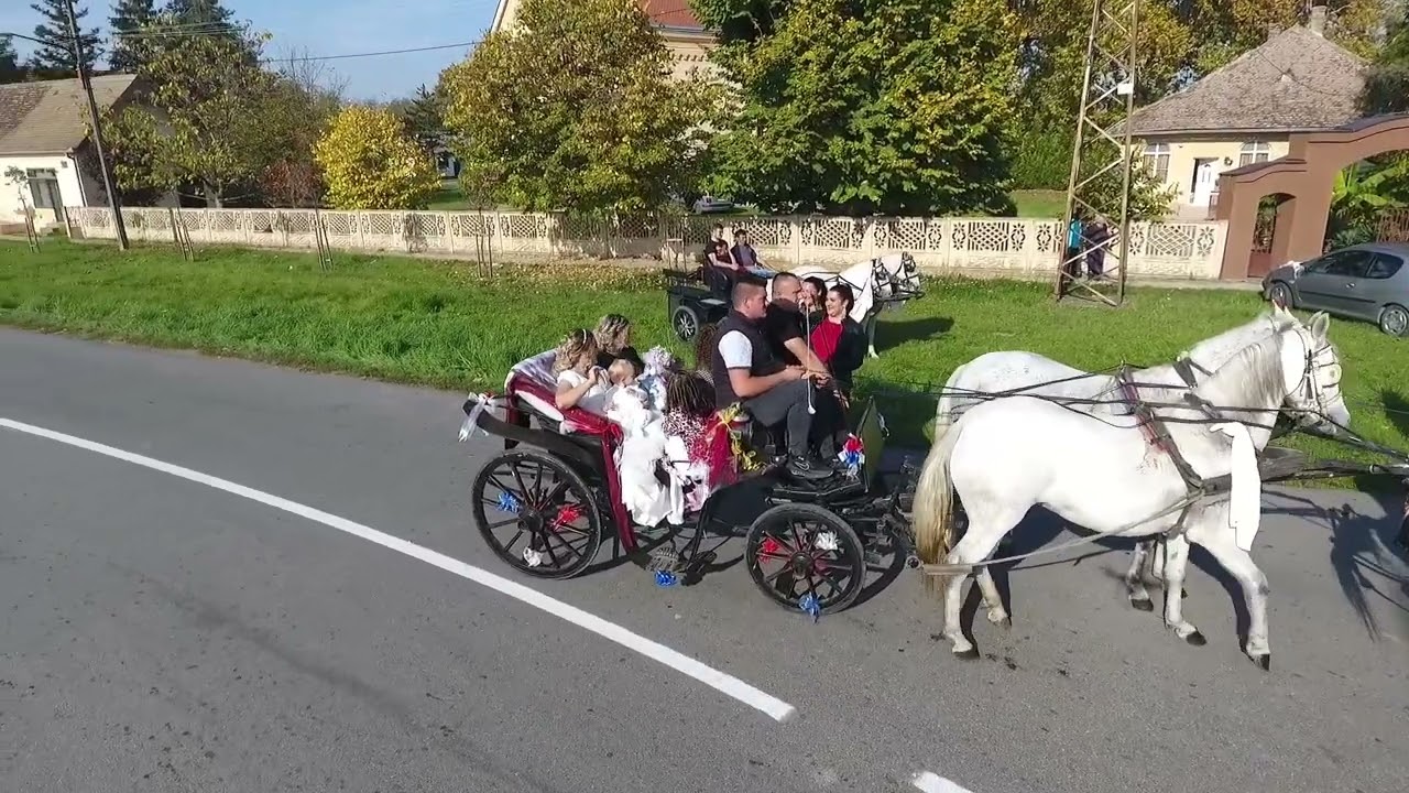 Tradicionalna mačvanska svadba (Drenovac, Geratović)
