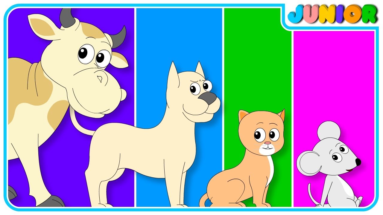 The Farmer in the Dell Nursery Rhyme | Kids Songs & Baby Rhymes By Nursery Rhymes Junior