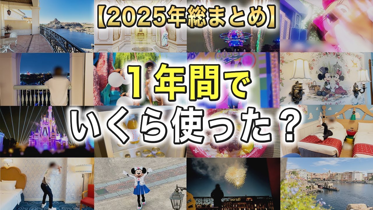 【2025年の合計金額】今年はディズニーにいくら使った？