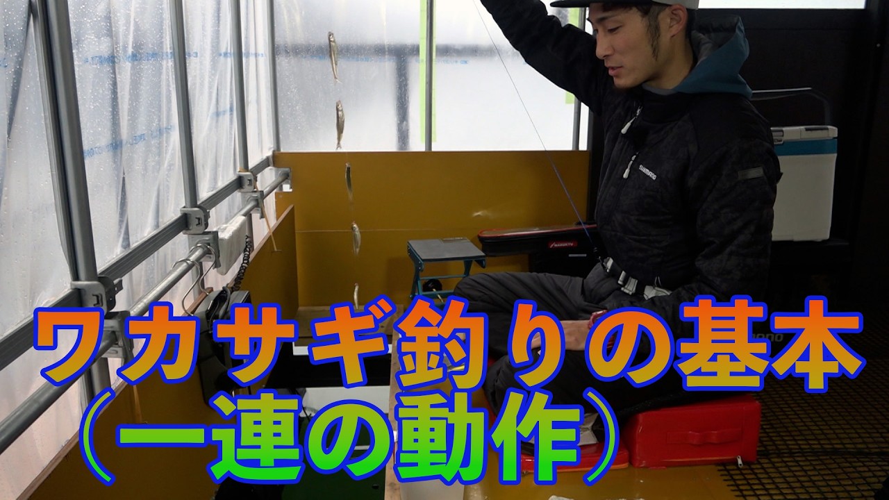 ワカサギ釣りの基本（一連の動作）