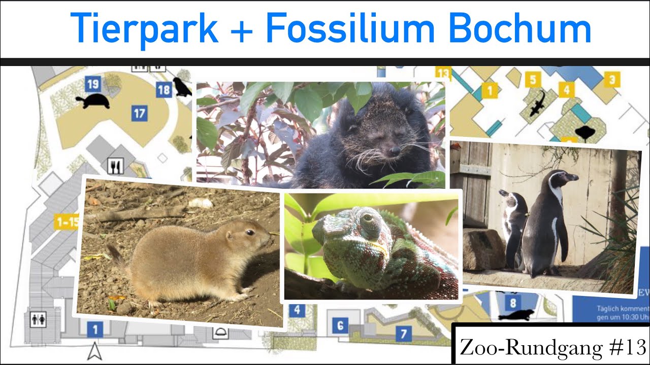 Tierpark + Fossilium Bochum 2021 🐠 | Zoo-Rundgang #13