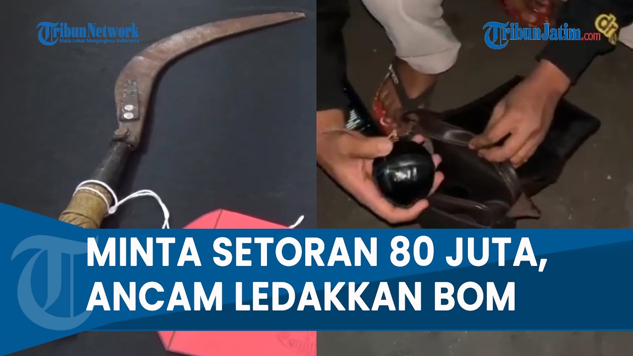 TIGA PREMAN DITANGKAP POLDA JATIM, Pelaku Kerap Palak Petani di Puspo Pasuruan, Bawa Samurai