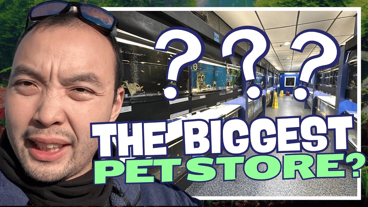 Explore The Biggest Local Pet Store In Lancaster Pa: That Fish Place - That Pet Place Tour Vlog