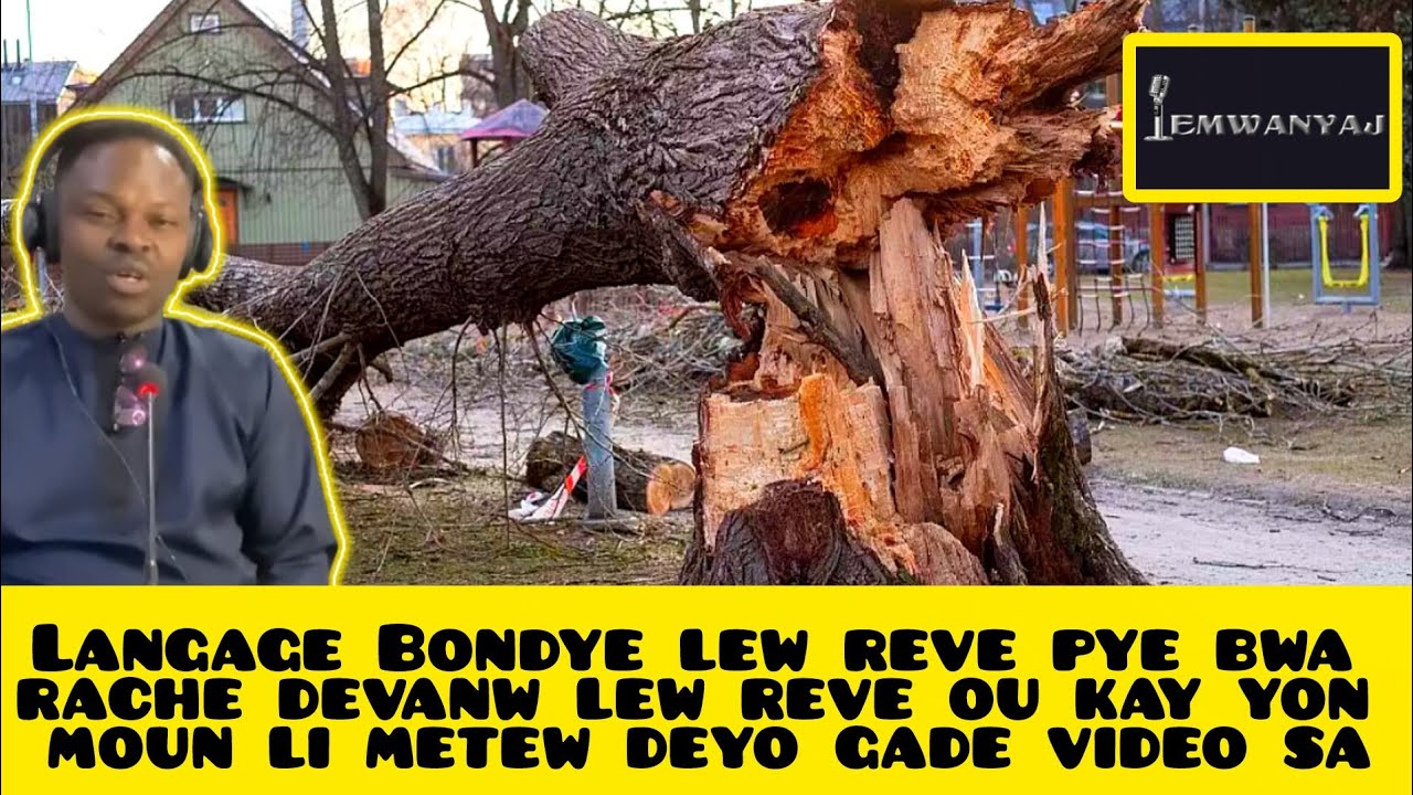 Langage Bondye lew reve pye bwa rache devanw lew reve ou kay yon moun li metew deyo gade video sa
