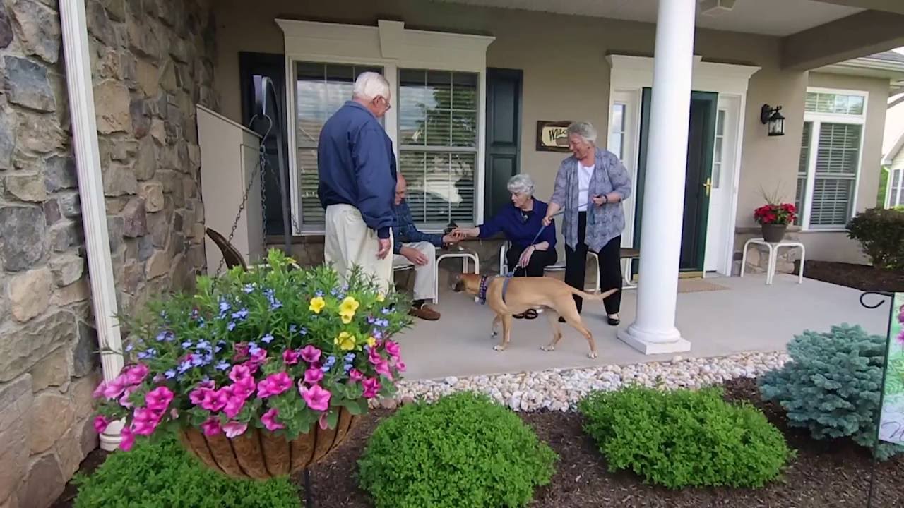 Dock Woods Community Tour