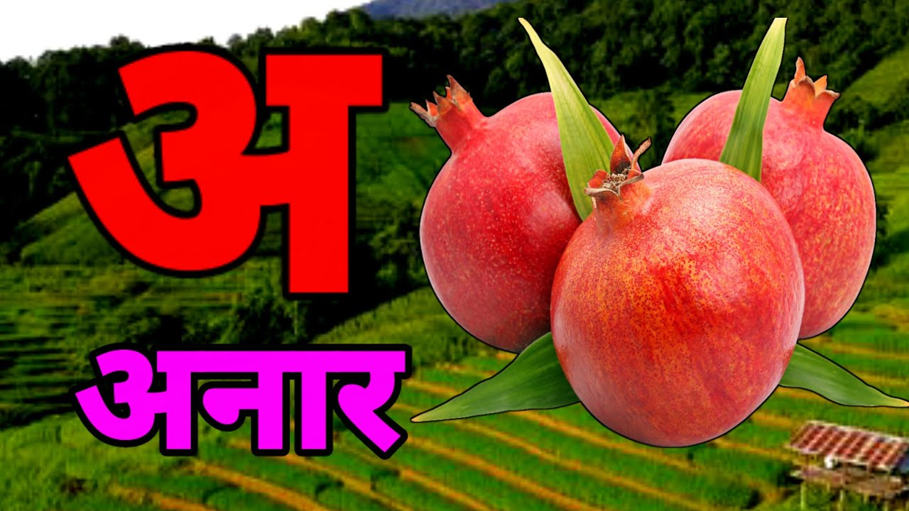 A Se Anar,अ से अनार ,आ सेआम,हिंन्दी वर्णमाला,अआइई ,क से कबूतर ,Aa Se Aam,हिन्दी स्वरमाला