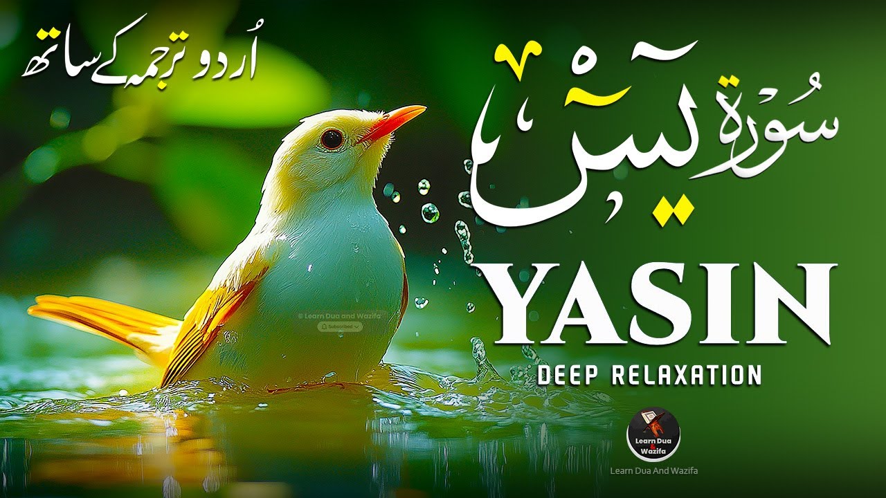 Surah Yasin (Yaseen) for Healing | Relieve Stress, Depression & Anxiety | سورة يس | #surahyaseen