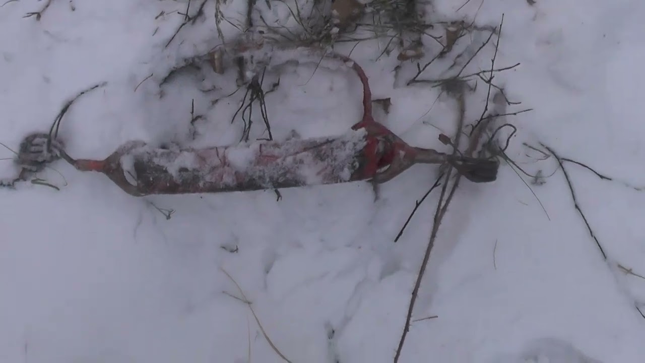 попал 48й волк и ушел. найду ли я его?