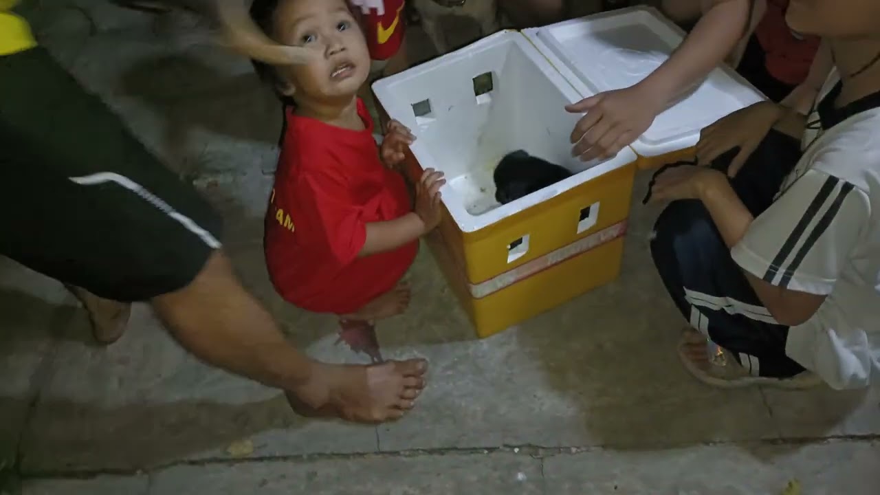 Đậu Trắng Đậu Đen 🐶🐶 19h27 T5 05/02/26 