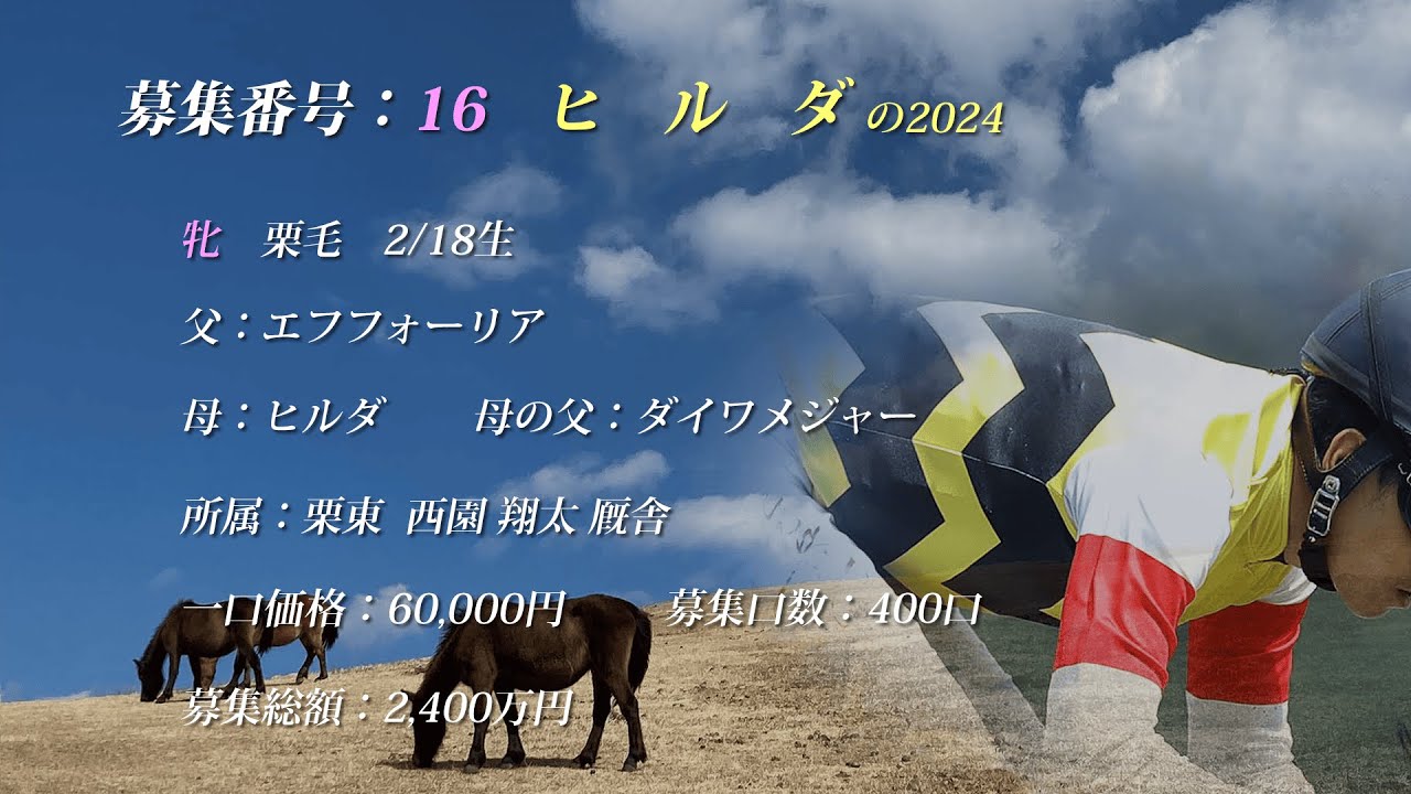 【2025年度[1歳馬]】16 ヒルダの2024