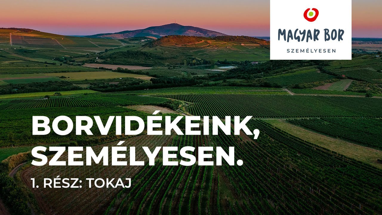 Borvidékeink, személyesen. 1. rész: Tokaj