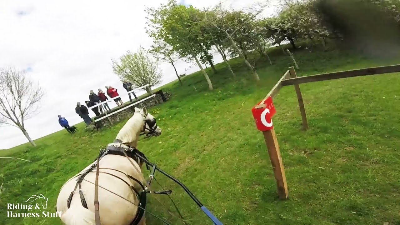 Horse Driving Trials Obstacle Driving