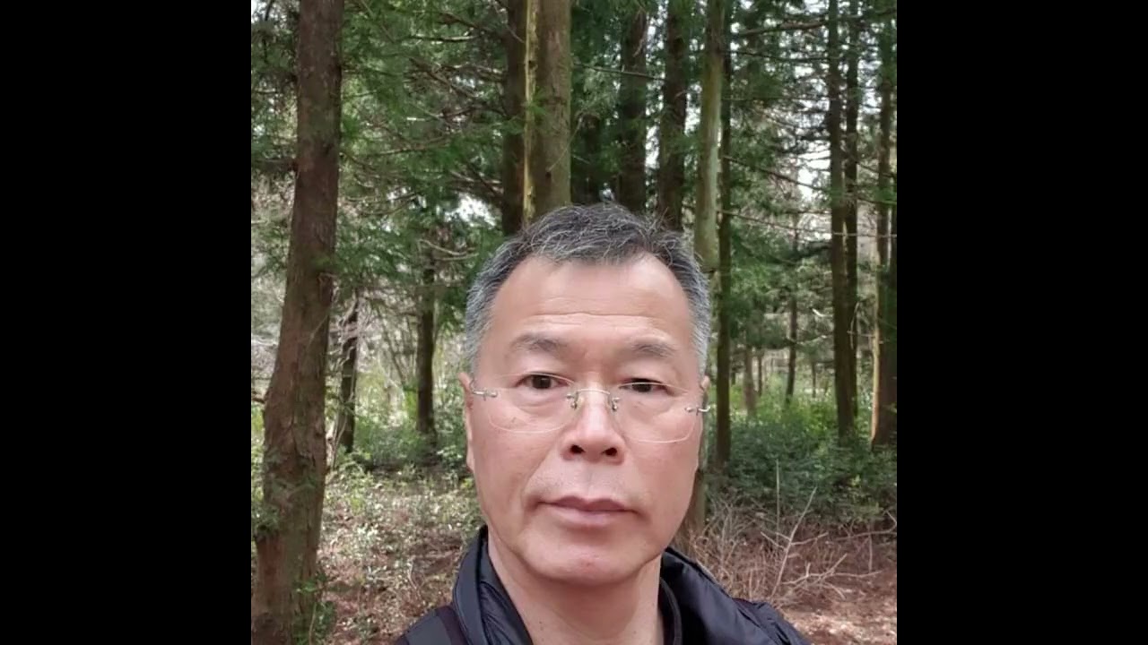 20200319 노란꽃 복수초 제주 사러니숲 삼나무숲 ^^