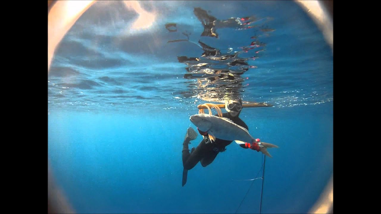 BWH in New Caledonia 4 wahoo.wmv