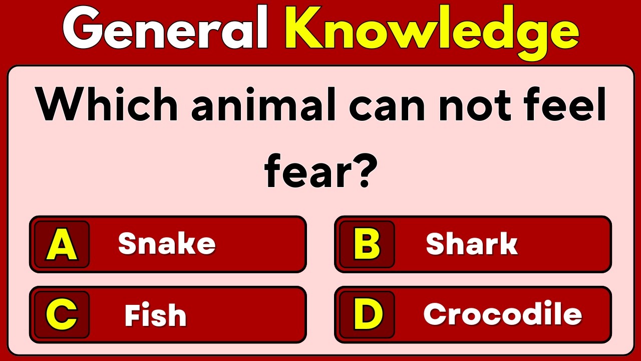 Brain-Twisting GK Quiz | 40 Questions That Outsmart Most People
