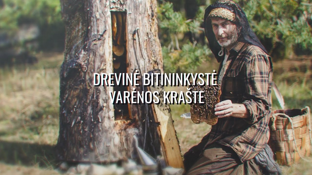 Drevinė bitininkystė Varėnos krašte | Lietuvos kodas