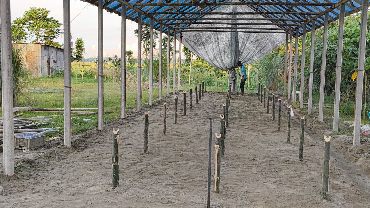 কম খরচে কিভাবে জিও শিট দিয়ে ঘর তৈরি করবেন