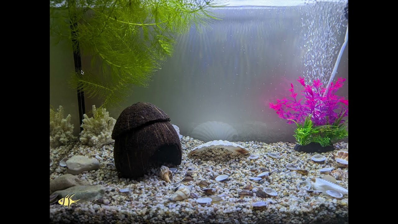 Relaxing Virtual Aquarium | Fish Animation Made with Scratch
