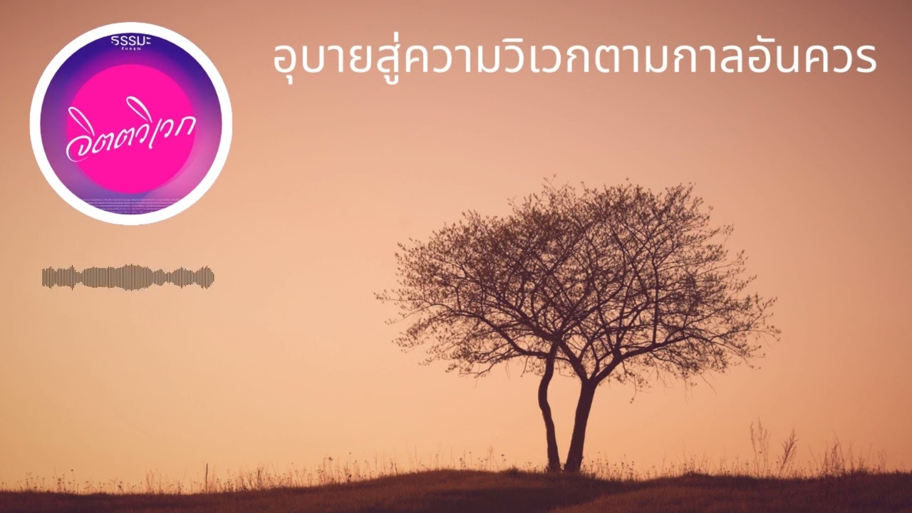 อุบายสู่ความวิเวกตามกาลอันควร [6908-2m]