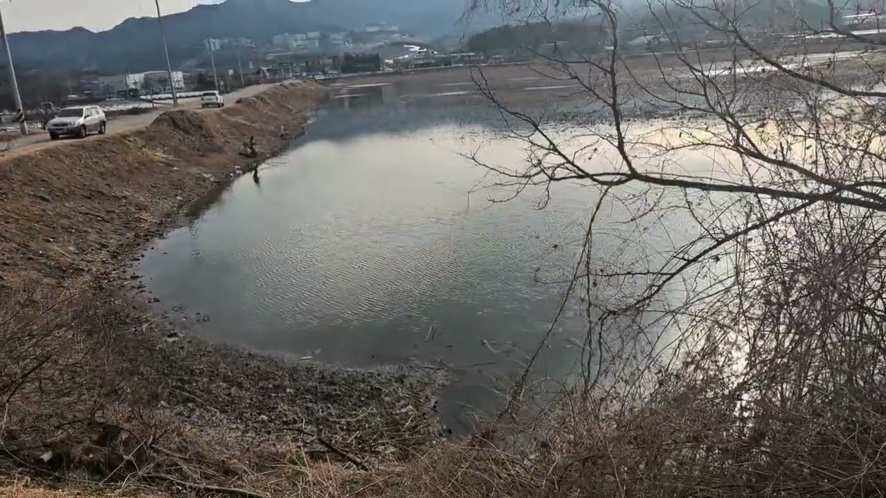 경산권  최고의낚시터, 손맛터,진못,선항지,당음지         2월 25일 현재,