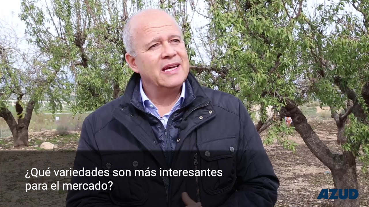 Descubre las nuevas variedades de almendro [Entrevista Federico Dicenta grupo CEBAS-CSIC, 1/7]