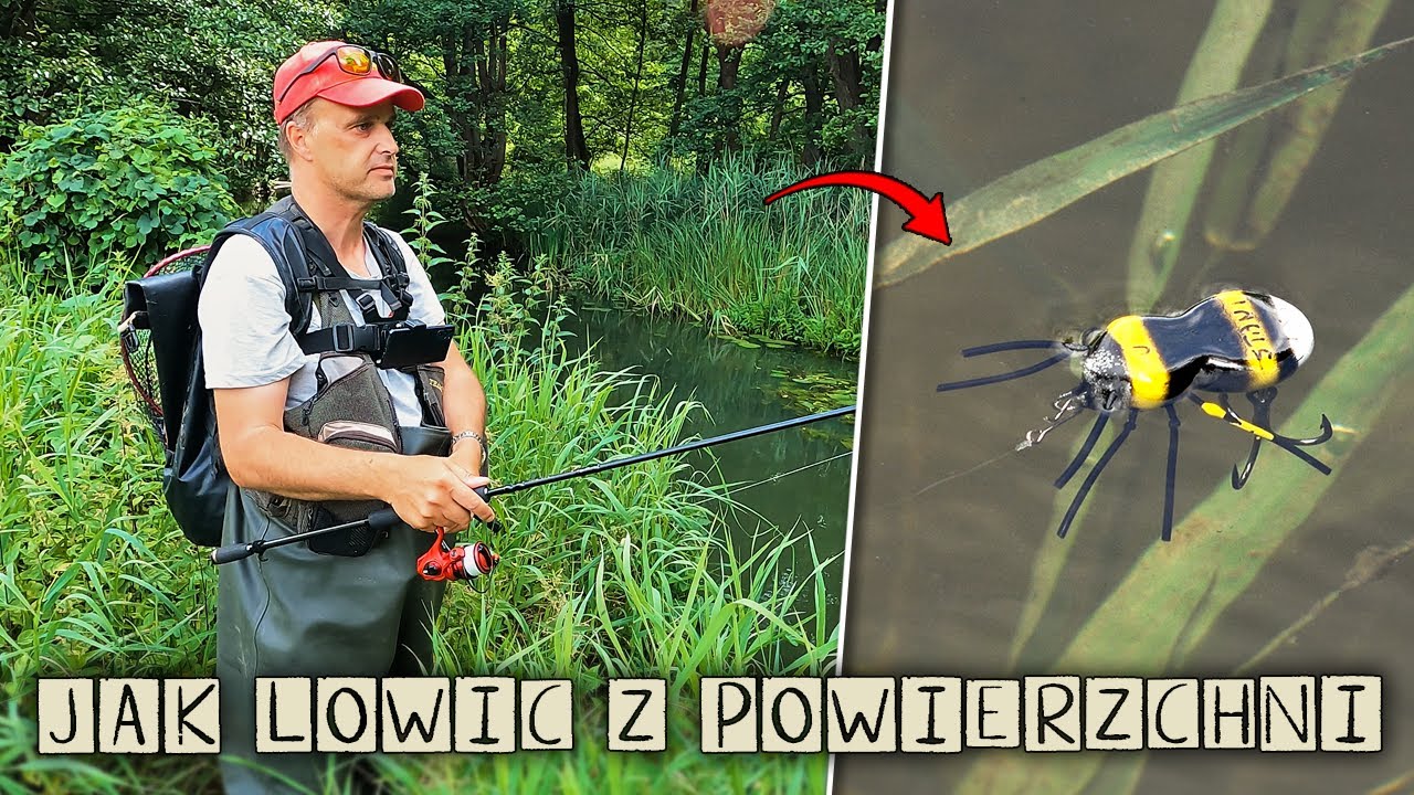 JAK ŁOWIĆ DUŻE RYBY na 