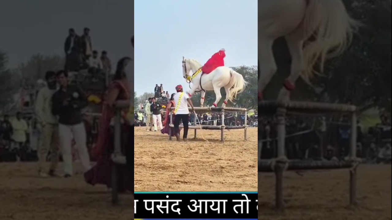 Amezing 👌 horse 🐎 dance video #dj #song #sad #love #horse #horsetrancedance #horsetrack