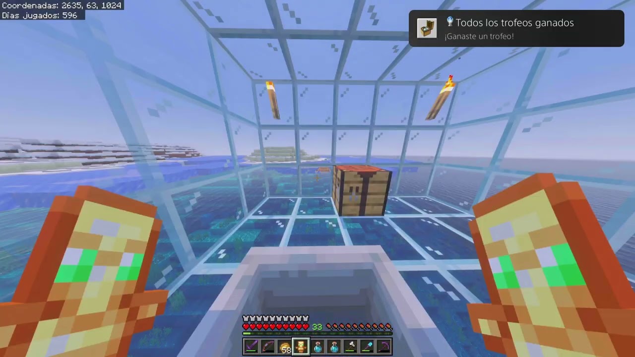 The end...|Platine Minecraft 21/01/2026