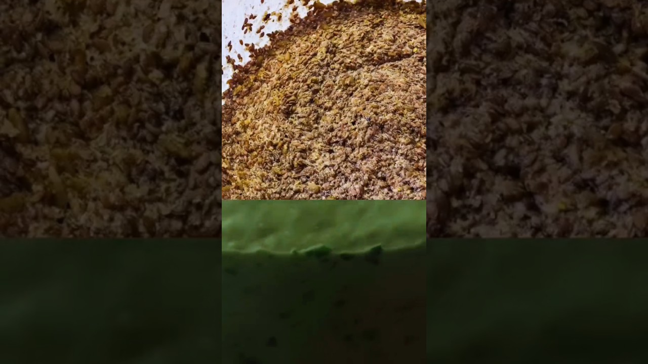Handmade rye bread for sm&oslash;rrebr&oslash;d platter.Old-world techniques.#FromScratch #ChefLife #shorts