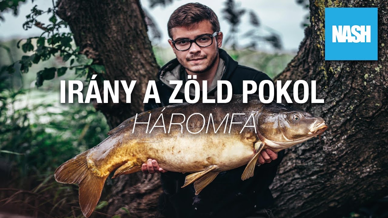 48 Óra a ZÖLD POKOLBAN 😳🎣 - Rövid Pontyhorgászat Háromfán🌲