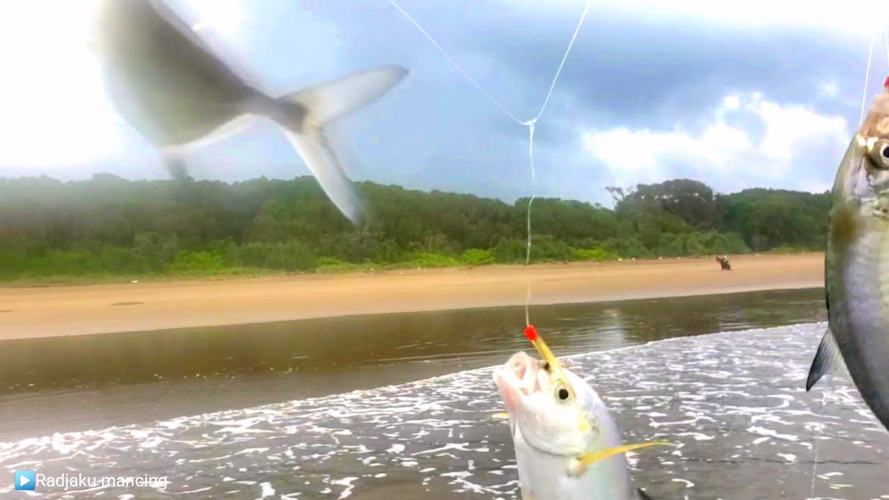 Cara mancing casting sabiki pinggiran pantai tehnik dasaran